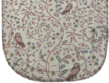 bird rosa